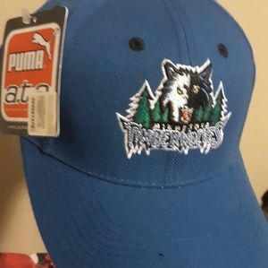 Minnesota Timberwolves hat